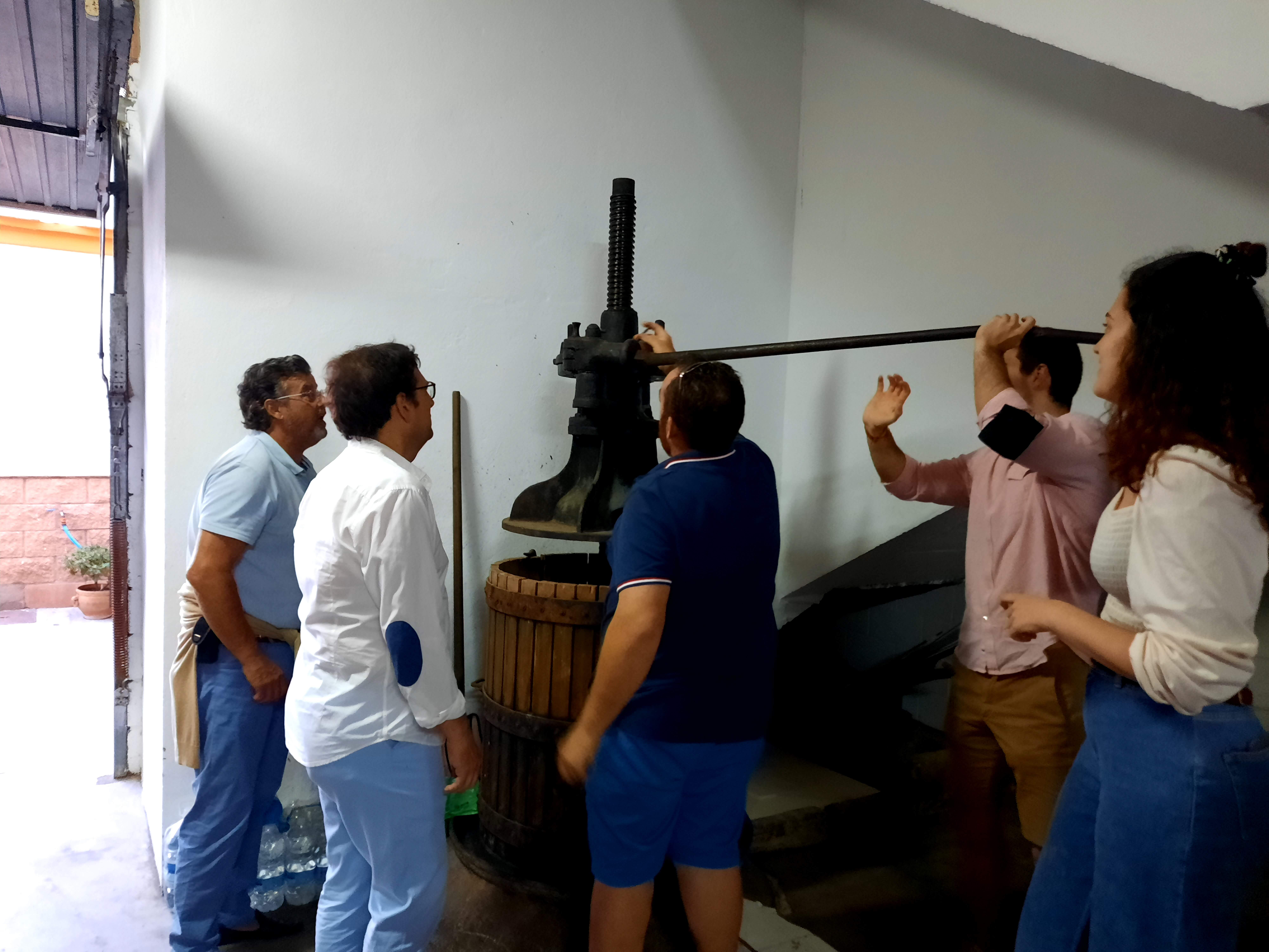 Weintourismus: Bodegas Manilva 8