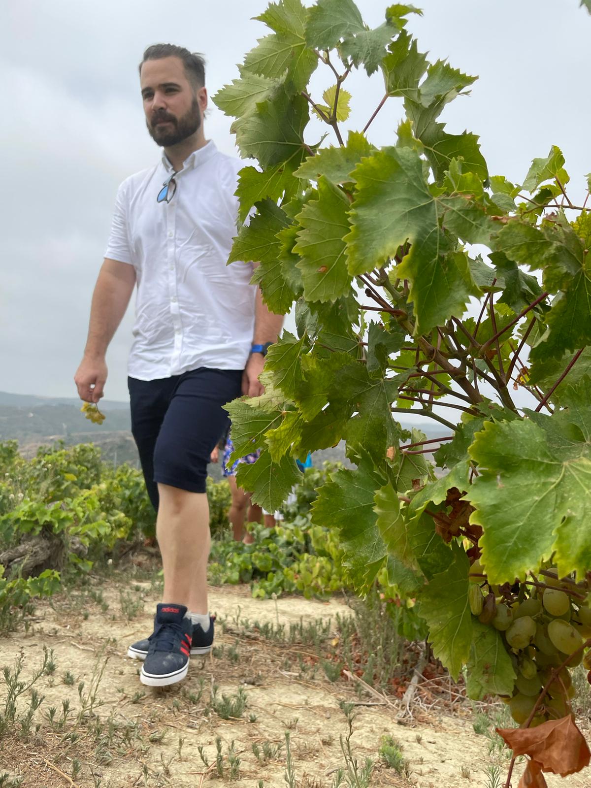 Weintourismus: Bodegas Manilva 11