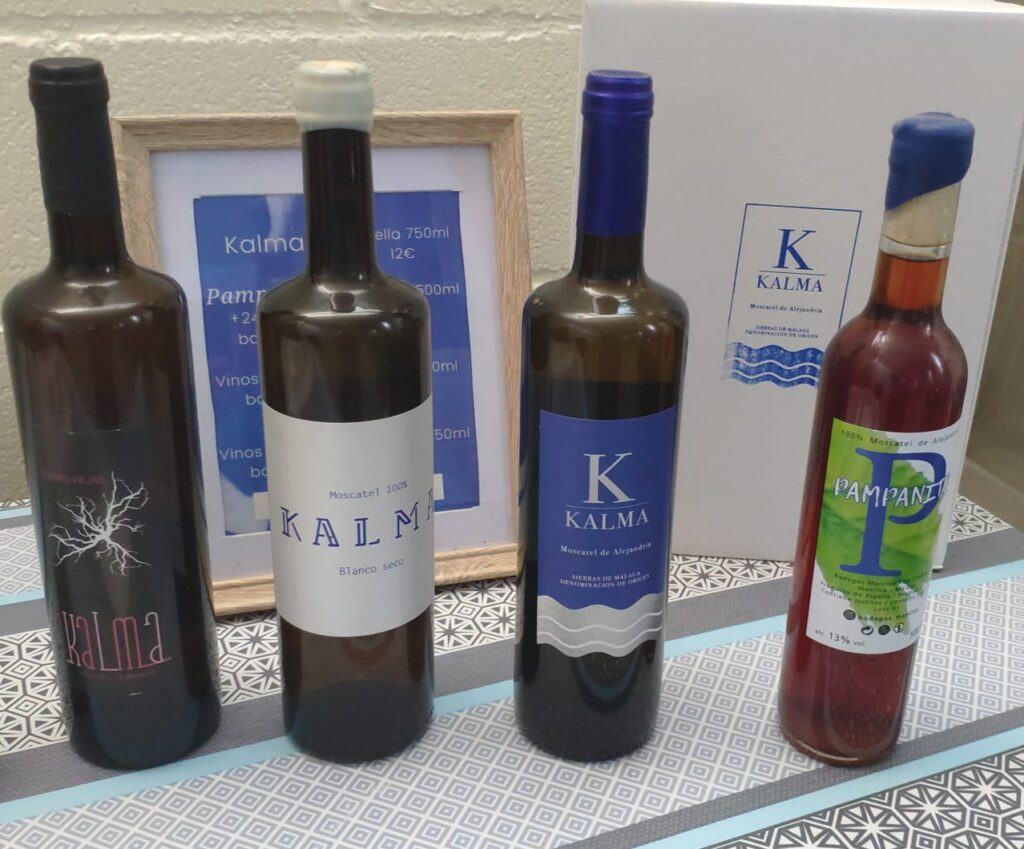 Weintourismus: Bodegas Manilva 14
