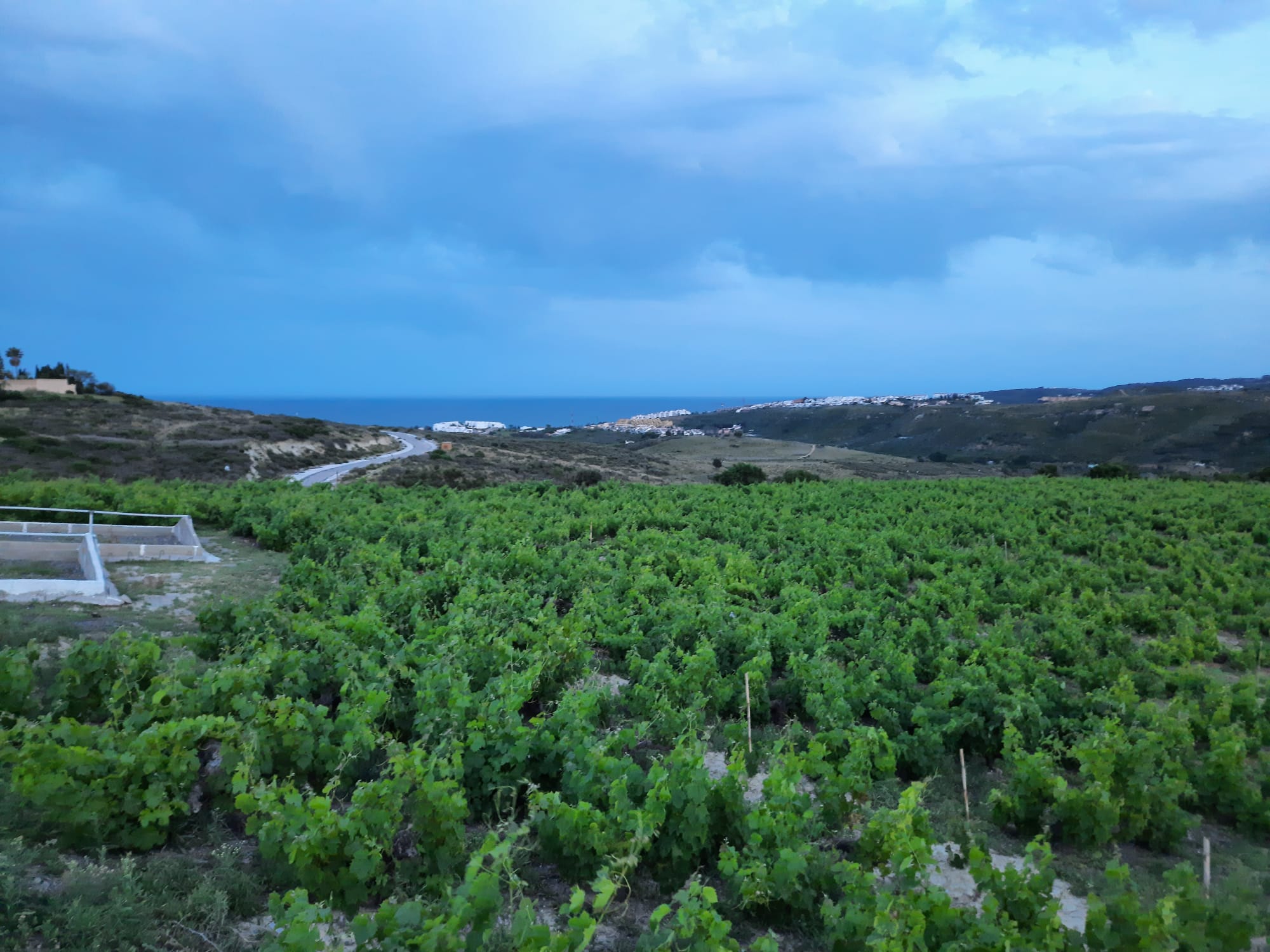 Bodegas Manilva