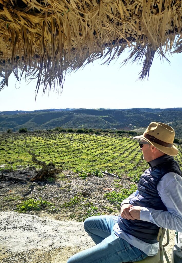 Weintourismus: Bodegas Manilva 10