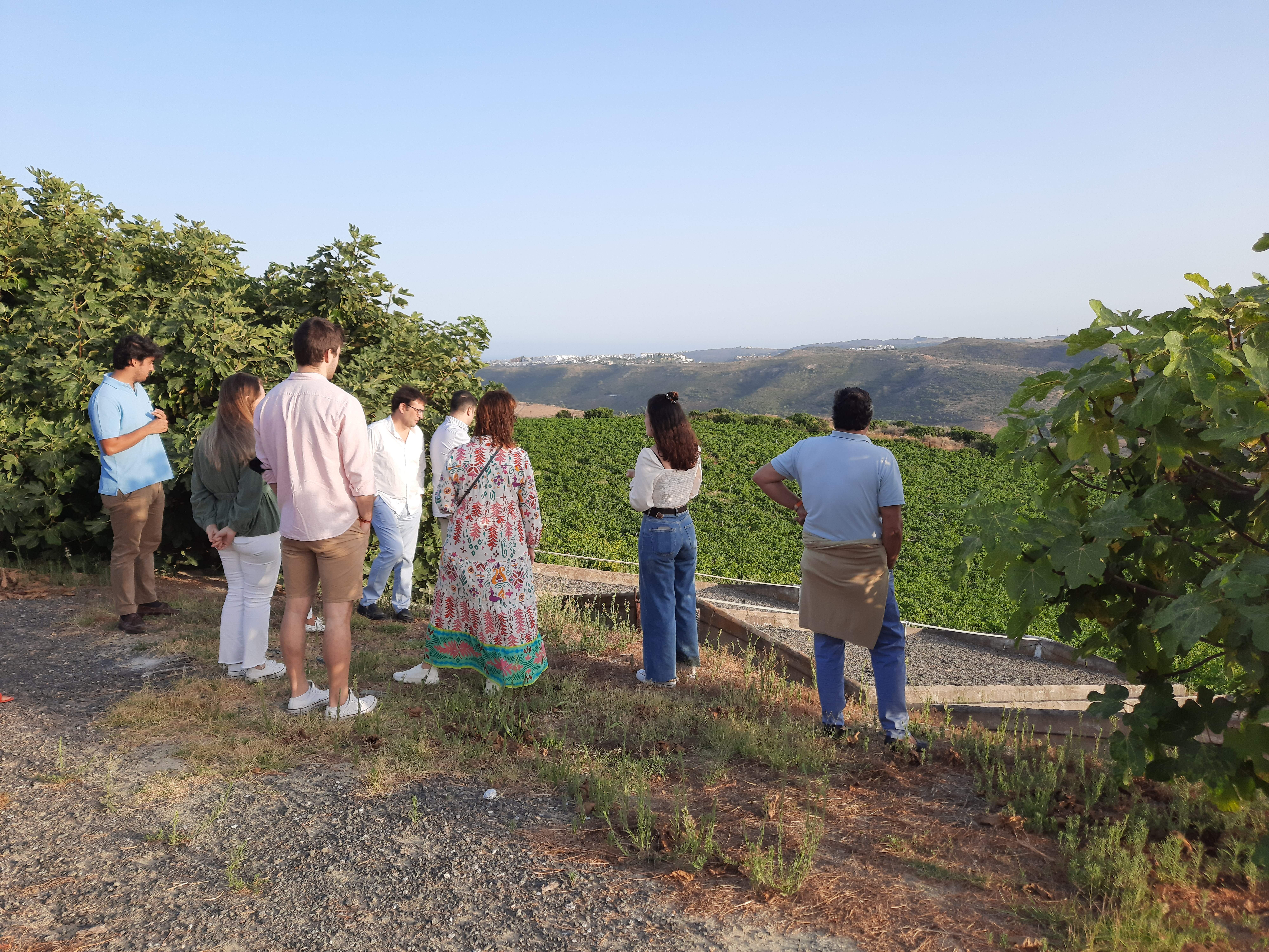 Weintourismus: Bodegas Manilva 7