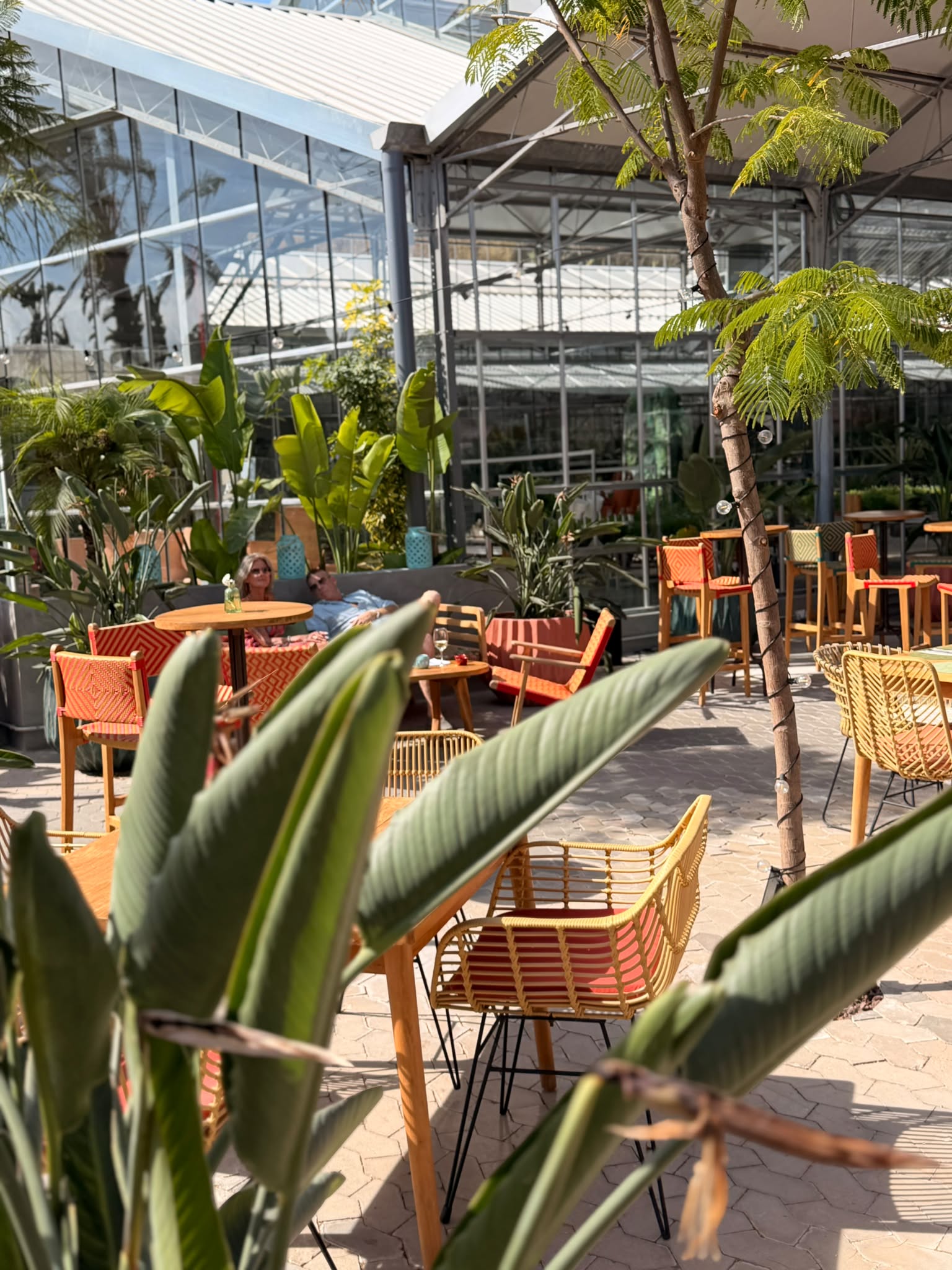 BOTÁNICA &raquo; VisitEstepona